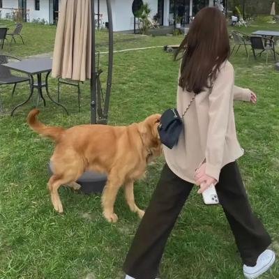 高尔夫球王